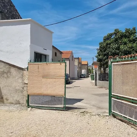 Back To The Future ザダル