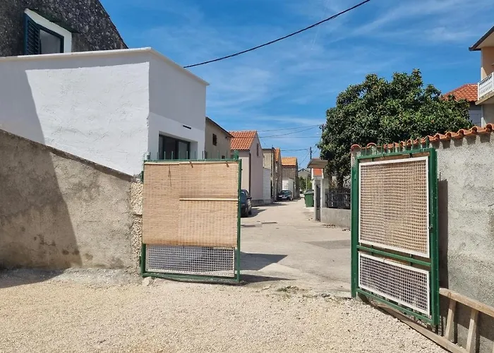 Back To The Future 扎达尔